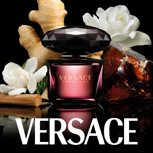 Versace Crystal Noir  